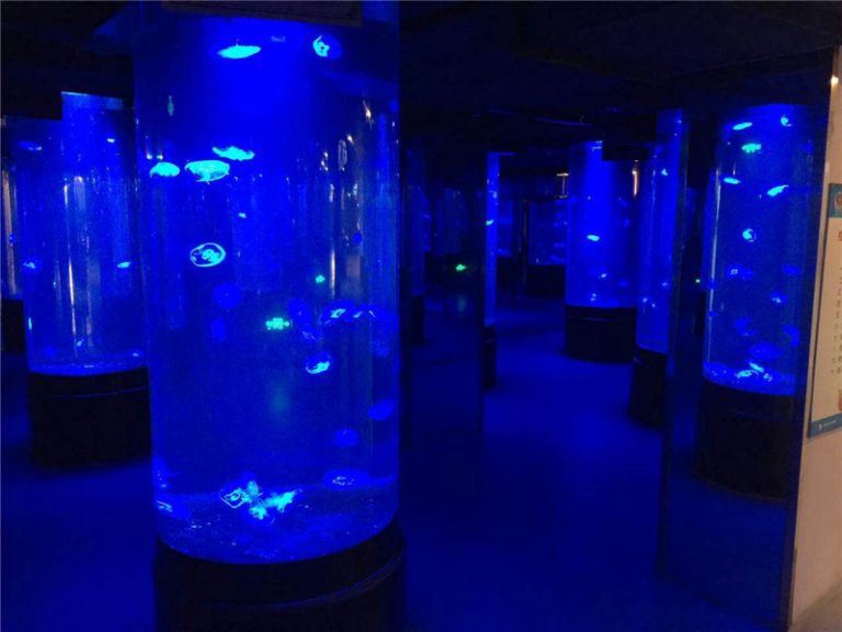 acrylic jellyfish aquarium tank glass - Yuejing Acrylic